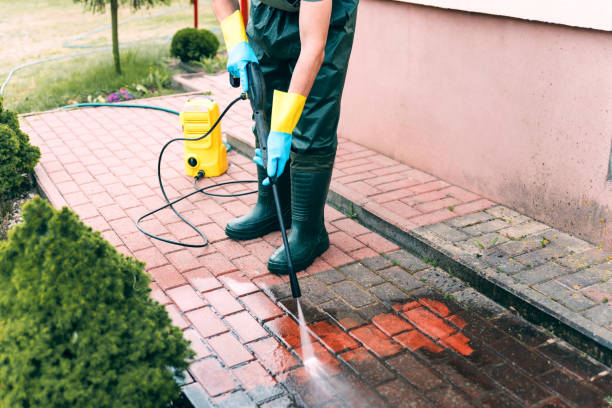 Best Dumpster Area Cleaning  in Smithers, WV